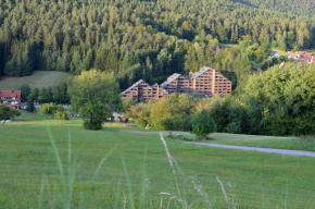 Schwarzwaldoase Baiersbronn